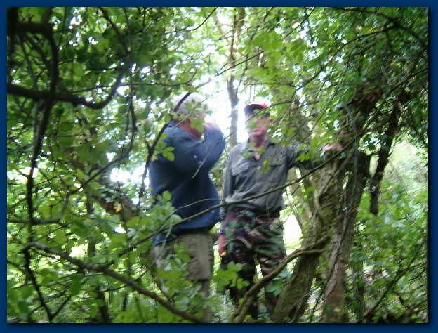 600x449 pixels (190K)